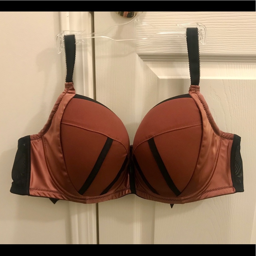Parfait bra NWOT Charlotte 34FF UK 34H US